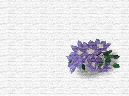 303231 (a): :1024x768